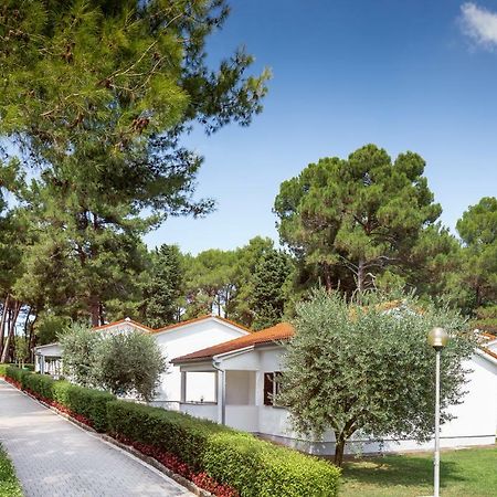 Apartments Galijot Plava Laguna بوريتش المظهر الخارجي الصورة